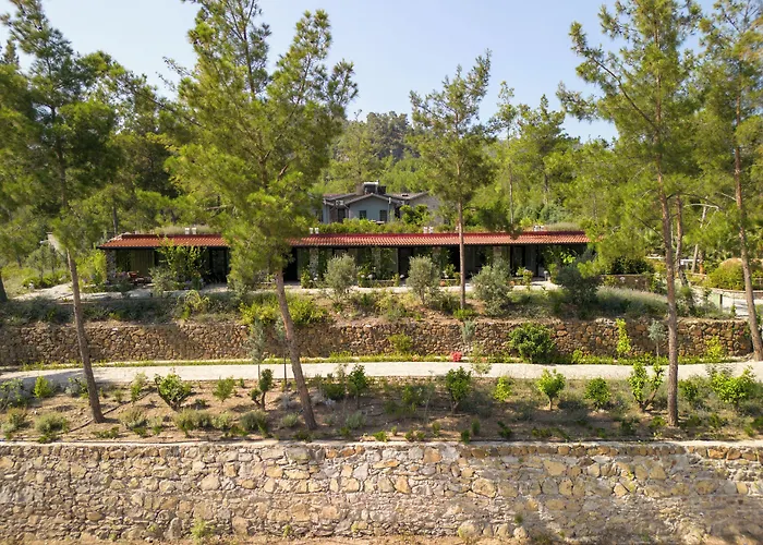 Izz Getaway - Adults Only 3*